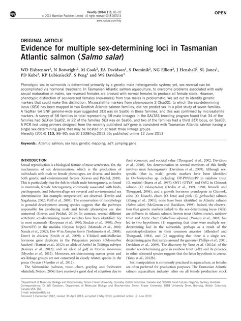 Pdf Evidence For Multiple Sex Determining Loci In Tasmanian Atlantic Salmon Salmo Salar
