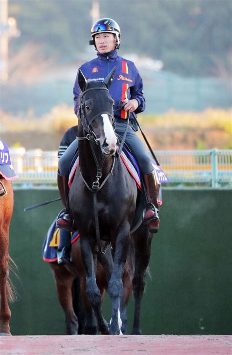 【注目馬動向】天皇賞・秋vのイクイノックスが有馬記念へ スポーツ報知