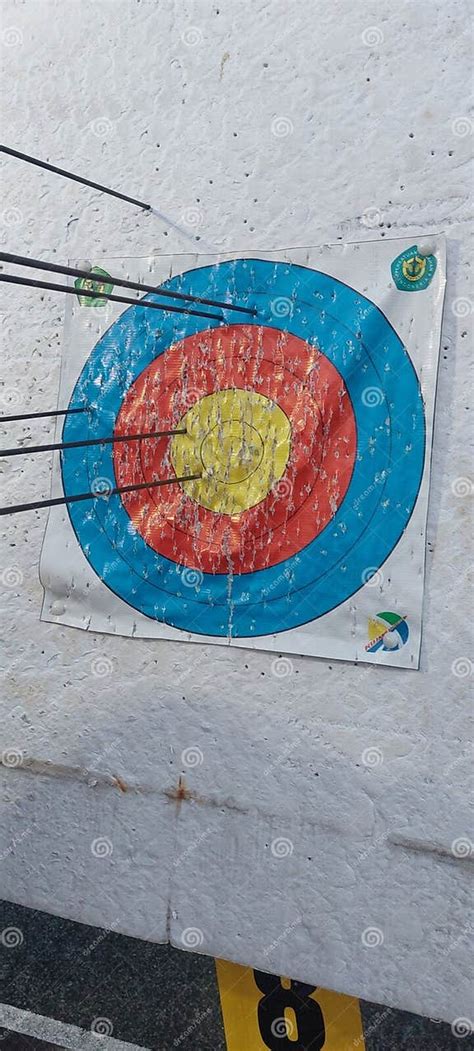 Archery Target Faces Stock Photo Image Of Pattern Faces 279676106