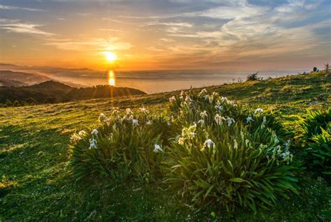 Mountain Valley during Sunset. Natural Spring Landscape, Mountains ...