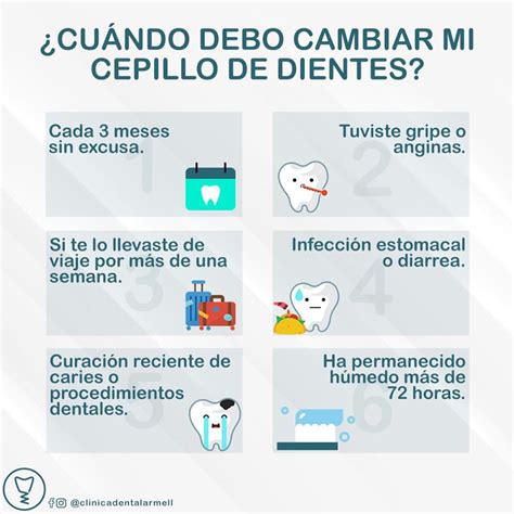 menta Conquistar excitación cambio del cepillo dental codo temporal