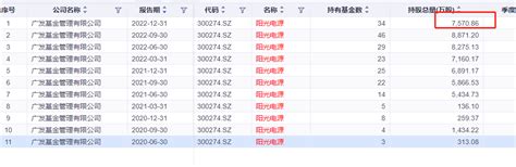 阳光电源大跌5，广发基金郑澄然、刘格菘多产品“困守”，业绩不佳 银柿财经