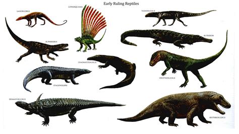 Dinosaurs Reptiles wallpaper | Prehistoric wildlife, Prehistoric animals, Dinosaur