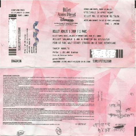 Offrir Faux Billet Disneyland A Imprimer AUTOMASITES