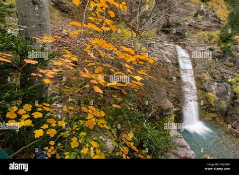 Cascada En El Rio Cinca Valle De Pineta Parque Nacional De Ordesa Y