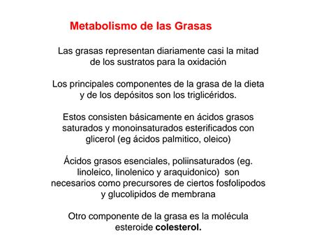 SOLUTION Metabolismo Lipidos Studypool