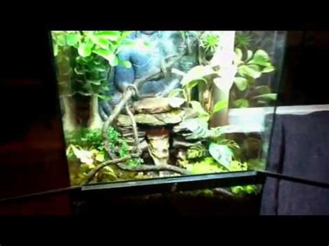 Exo Terra Sri Lanka Terrarium Limited Edition Youtube