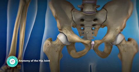 Total Hip Joint Replacement Thr Surgery Welcare Hospital