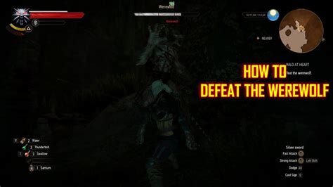 Witcher Wild At Heart How To Easily Defeat The Werewolf Youtube