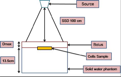 The experimental setup for cells irradiation | Download Scientific Diagram