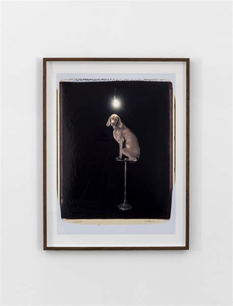 William Wegman Biography & Art Works - Huxley-Parlour Gallery