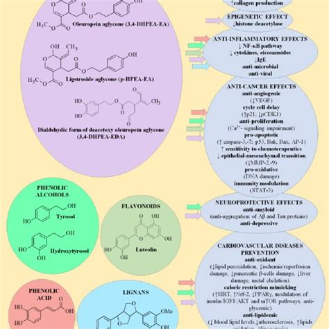 Main Classes Of Phenolic Compounds In Olive Oil And Summarization Of