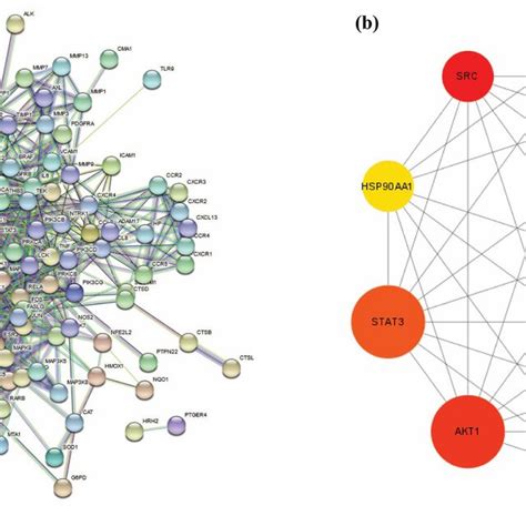 Protein Protein Interaction Ppi Network And Hub Gene Analysis A