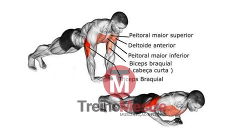 Super Treino de Peito os melhores exercícios Treino Mestre