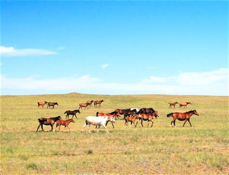 Kazakhstan overview, facts and features