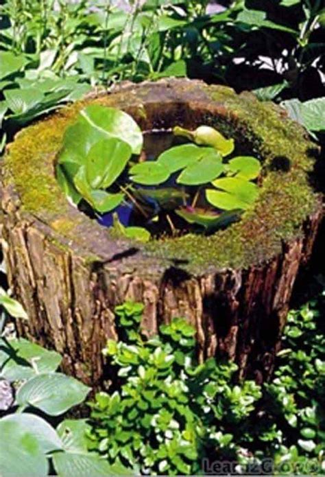 Fascinating Low Budget Diy Mini Ponds In A Pot Woohome