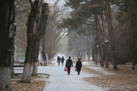 Погода за окном укажет, чего ждать от зимы: народные приметы на 30 ...