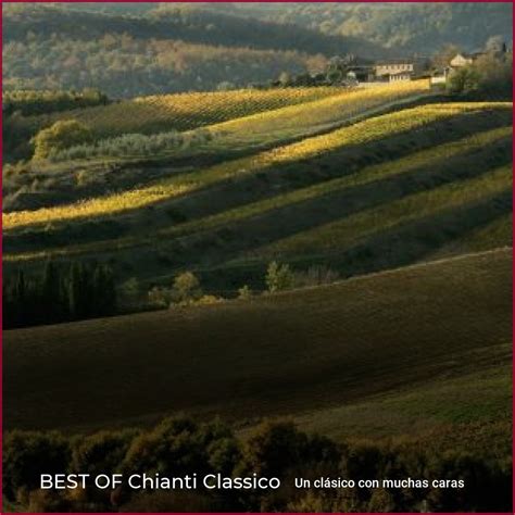 BEST OF Chianti Classico wein plus Revista vinícola