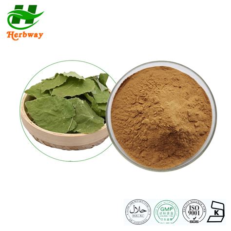 Herbway Kosher Halal Fssc HACCP Certified Epimedium Powder Isolated