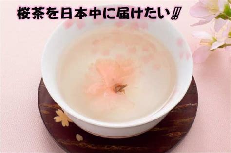 桜農家が大ピンチ⁉コロナ禍で行き場を失った桜茶を日本中に届けたい！アクティビティ Campfire キャンプファイヤー