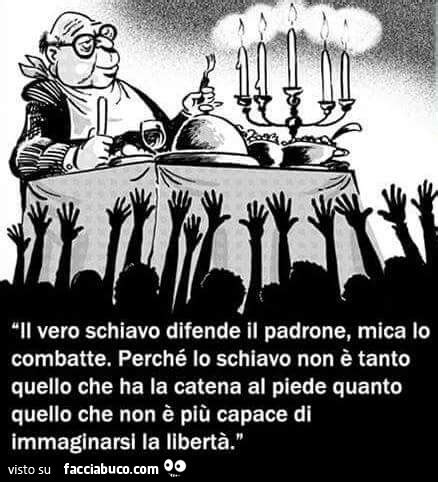 Il vero schiavo difende il padrone mica lo combatte Perchè lo schiavo