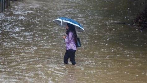 Monsoon Update Imd Predicts Heavy Rainfall Over…