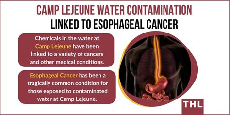 Camp Lejeune Esophageal Cancer Lawsuit Update Torhoerman Law