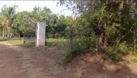 Acre Agricultural Farm Land For Sale In Narsapur Medak