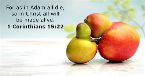 Bible Verses About Jesus Alive Dailyverses Net