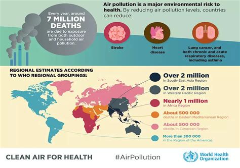 Murieron Miles De Personas Por La Contaminación Del Aire En 2020