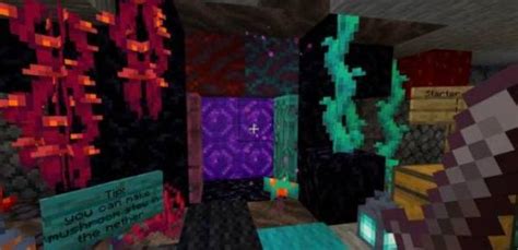 Карта Nether Survival Base Survival для Minecraft ModsMine