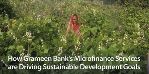 Creating Shared Value: Grameen Bank's Microfinance Solution for Poverty and Growth - SustainCase ...