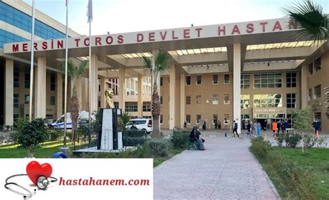 Mersin Toros Devlet Hastanesi Ortopedi Ve Travmatoloji Doktorlar