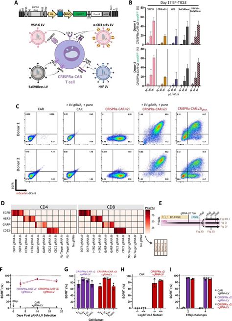 Grna Sequences New England Biolabs Bioz