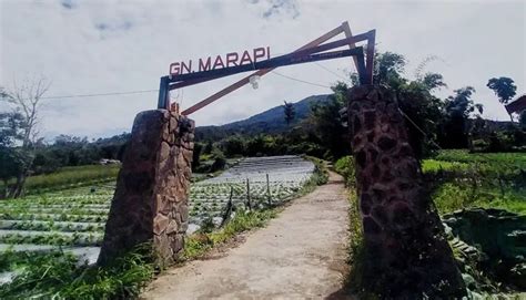 Desa Wisata Pendakian Gunung Marapi Koto Baru Surga Pendakian Di