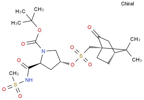 2S 4R Tert Butyl 4 1S 4R 7 7 Dimethyl 2 Oxobicyclo 2 2 1 Heptan 1