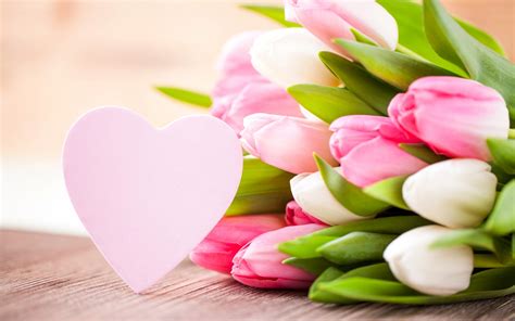 Tulips Pink Flower And Heart Wallpapers 2560x1600 426025