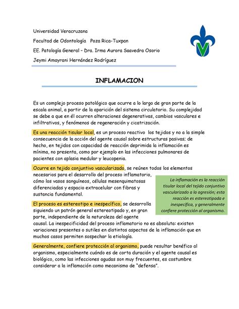 Actividad Resumen Inflamaci N Y Cicatrizaci N Universidad