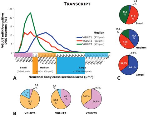 Biomolecules | Special Issue : Role and Regulation of Glutamate Metabolism