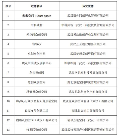 39家上榜！武汉公布最新一批市级科技企业孵化器、众创空间要闻新闻中心长江网cjncn