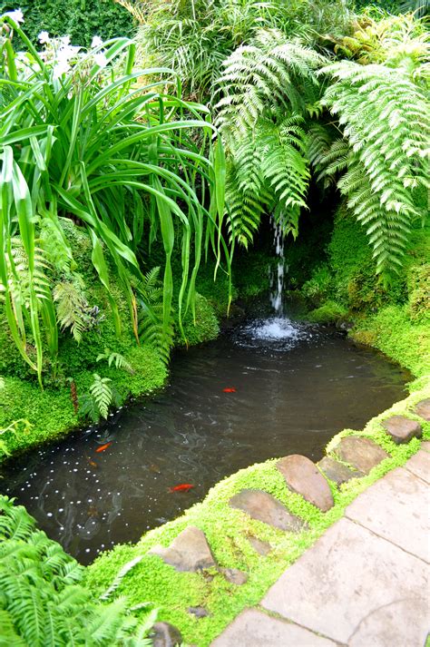 The Pool Inside the Fernery by Forestina-Fotos on DeviantArt