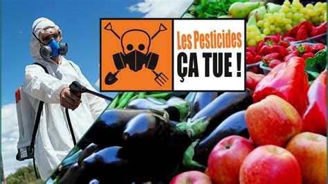 Pesticides Des fruits et des légumes dangereusement contaminés Le Vert