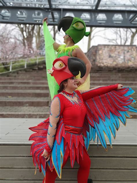 Rio Disfraz Carnaval Dizfrazpajaro Pajaro Guacamayo