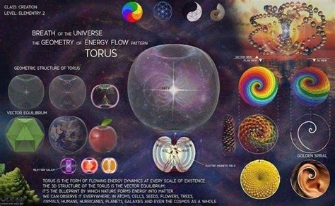 The Grand Torus Energy Experiment - Chapter 2 - Alive Therapies