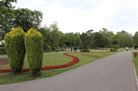 Park Timisoara Romania Parcul - Free photo on Pixabay - Pixabay