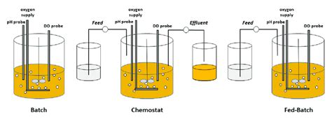 The Three General Modes Of Fermentation Operation Batch Continuous