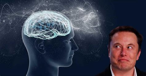 Neuralink la empresa de Elon Musk meterá chips en nuestros cerebros