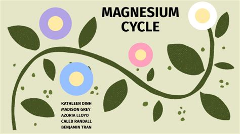 Magnesium Cycle In Soil