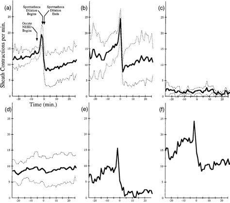 Sheath Contractile Activity Profiles Number Of Sheath Contractions Per