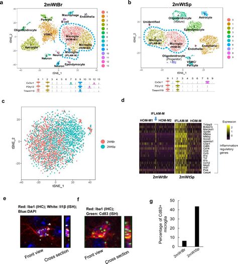 Single Cell Rna Seq Analysis Reveals Compartment Specific Heterogeneity